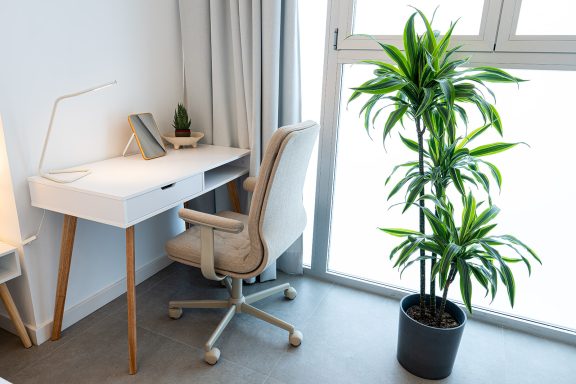 Escritorio moderno con silla, planta en maceta y luz natural entrando por la ventana.